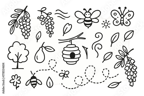 Acacia Pollinators Doodle. Hand-drawn doodle illustration Acacia and pollinators flower, bee icon, butterfly, wind lines, pollen icon, petal, branch, hive,