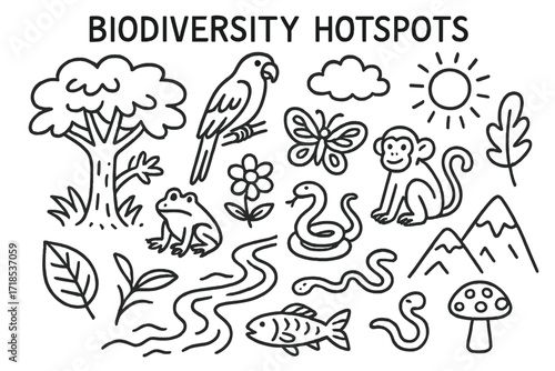 Biodiversity Doodle Icons. Biodiversity Hotspots. Hand-drawn doodle illustration biodiversity hotspots tropical tree, parrot, butterfly, monkey, flower, frog,