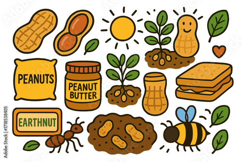 ?????????? ???. Colorful Hand-drawn doodle Children illustration Peanut groundnut pod, peanut shell, green plant, smiling peanut, bag, peanut butter jar,