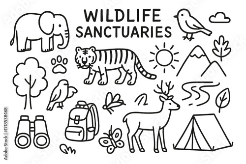 Wildlife Sanctuary Doodles. Hand-drawn doodle illustration Wildlife Sanctuaries [elephant, tiger, deer, bird, tree, river, mountain, sun, cloud, paw print,