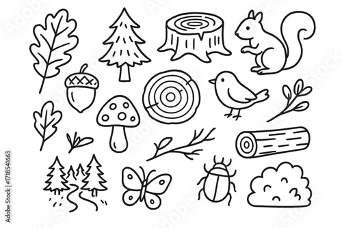 Woodland Doodle Icons. Hand-drawn doodle illustration [Woodland ecology and trees] [oak leaf, pine tree, tree stump, squirrel, acorn, mushroom, tree rings,
