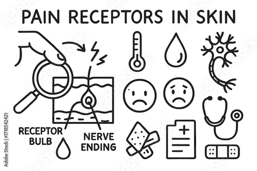 Pain Receptor Diagram. Hand-drawn doodle illustration pain receptors in skin skin layer diagram, nerve ending, receptor bulb, finger tip, signal arrow, neuron,