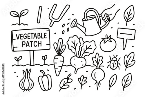 Vegetable Garden Doodles. Hand-drawn doodle illustration Vegetable Patch carrot, radish, lettuce, tomato, garden sign, soil line, sprout, pitchfork, watering