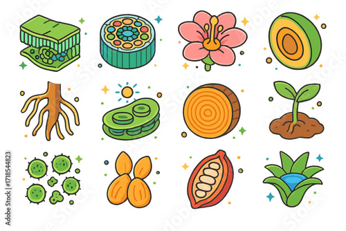 Rainforest Plant Icons. Colorful isometric vector icons set of rainforest plant cross-sections: leaf structure, stem vascular bundle, flower interior, fruit