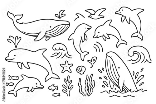 Whales and Dolphins Doodle. Hand-drawn doodle illustration [whales and dolphins] [humpback whale, dolphin, tail splash, water spout, ocean wave, fish school,