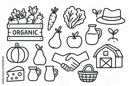 Organic Produce Doodle. Hand-drawn doodle illustration Organic produce box box, tomato, carrot, lettuce, pumpkin, pear, apple, bread loaf, cheese, milk jug,