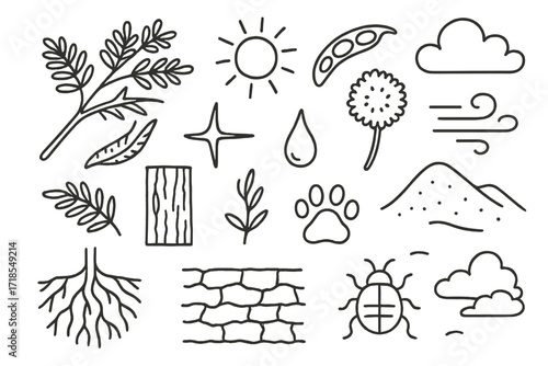 Acacia Tree Elements. Hand-drawn doodle illustration Acacia tree branch, leaf cluster, seed pod, thorn, flower bloom, bark texture, sap droplet, root system,