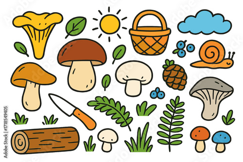Edible Mushroom Doodles. Colorful Hand-drawn doodle Children illustration Edible mushrooms [chanterelle, porcini, oyster mushroom, button mushroom, basket,