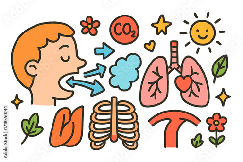Breathing Process Doodle. Colorful Hand-drawn doodle Children illustration Exhalation Process mouth, nose, air arrows, lungs, diaphragm, ribcage, carbon