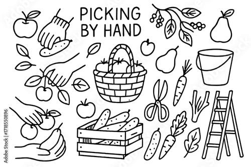 Hand-Picked Harvest. Picking by hand. Hand-drawn doodle illustration picking by hand hands, baskets, apples, pears, berries, carrots, cucumbers, leaves,