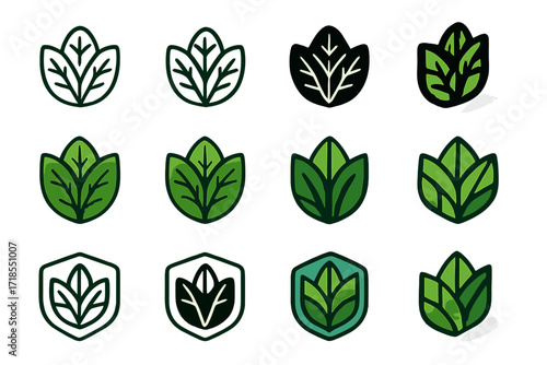 Whole Foods Logo Variations. Set Logo of Whole foods diet: Organic leafy greens. Logo set in vector style, emblematic variations. line, bold thick line, solid