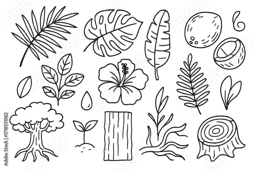 Tropical Foliage Doodles. Hand-drawn doodle illustration Tropical Foliage palm leaf, monstera, banana plant, hibiscus flower, vine curl, leaf cluster, jungle