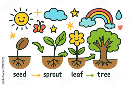 Green Plant Journey. Colorful Hand-drawn doodle Children illustration Life of a Green Plant [seed, sprout, leaf, flower, tree, root, sun, cloud, rainbow, water