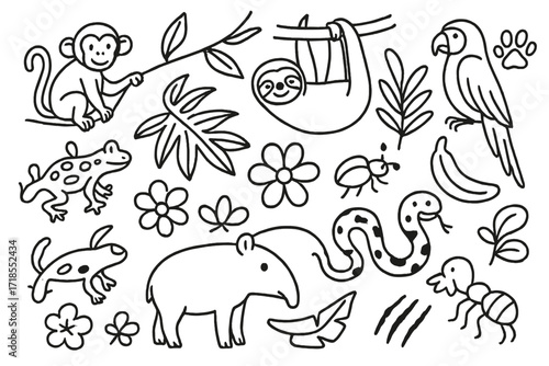 Rainforest Animal Doodles. Hand-drawn doodle illustration Rainforest animals monkey, sloth, macaw, poison dart frog, tapir, boa, gecko, ant, beetle, palm leaf,