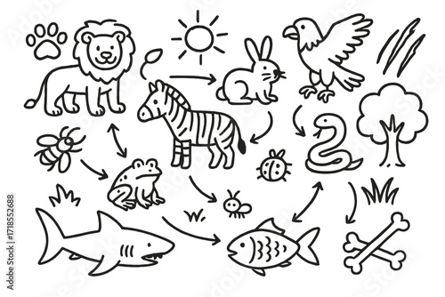 Cartoon Food Chain Doodles. Hand-drawn doodle illustration food chain predators and prey lion, zebra, eagle, rabbit, snake, frog, insect, fish, shark, paw