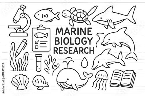 Marine Biology Doodles. Hand-drawn doodle illustration Marine biology research [microscope, fish, turtle, shark, dolphin, clipboard, pen, test tube, seaweed,