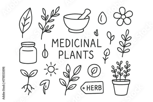 Medicinal Plants Doodle. Hand-drawn doodle illustration Medicinal plants [leaf, herbal sprig, mortar and pestle, seed, droplet, flower, jar, root, sun, sprout,