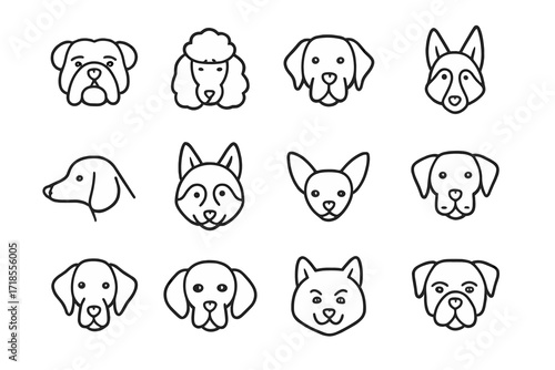 Dog Breeds Icons. Dog breeds. Line icon set of dog breeds: bulldog, poodle, labrador, german shepherd, dachshund, husky, chihuahua, pug, dalmatian, beagle,