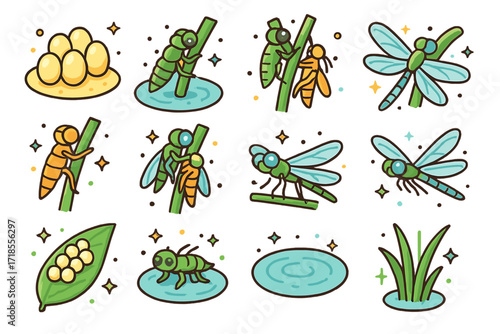 Dragonfly Life Cycle Icons. Colorful isometric vector icons set of dragonfly lifecycle: dragonfly egg, nymph in water, nymph climbing stem, emerging adult,