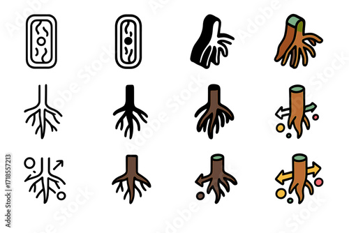 Root Chemistry Icons. Icon Set of Root Chemistry: Root cell, Root hair, Nutrient absorption. Icons set in vector style, emblematic variations. Root cell line,