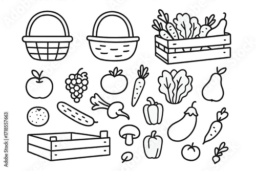 Market Basket Doodle. Market baskets. Hand-drawn doodle illustration market baskets basket, crate, apple, grapes, tomato, carrot, lettuce, pear, orange,