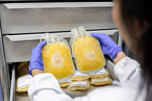 Close up scientist hand wear blue gloves holding fresh frozen plasma bag in storage refrigerator at blood bank unit laboratory.Blood bag received from blood donation used in patients.Save life concept