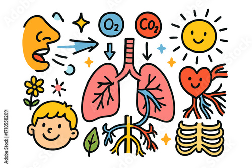 Children's Respiratory System Doodle. Colorful Hand-drawn doodle Children illustration Breathing and Circulation lungs, nose, mouth, arrows, oxygen bubble,