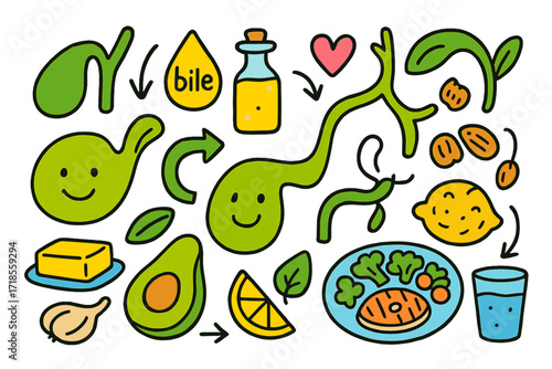 Gallbladder Health Doodles. Colorful Hand-drawn doodle Children illustration Gallbladder and bile gallbladder organ, bile drop, oil bottle, butter piece,