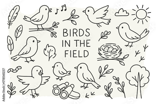 Birds and Nature Icons. Hand-drawn doodle illustration Birds in the Field birds, feathers, nests, eggs, branches, leaves, singing notes, flying wings, trees,