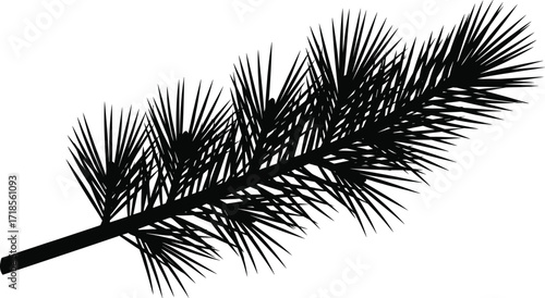 Black pine branch silhouette with long sharp needles, evergreen tree element, winter forest nature, Christmas decoration, ecology design, vector illustration.