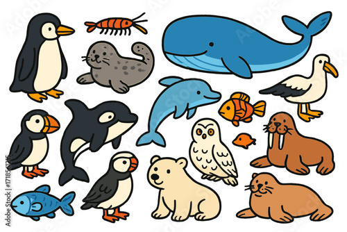 Polar Animal Illustrations. Polar animals. Colorful Hand-drawn doodle Children illustration polar animals penguin, seal, whale, orca, albatross, krill, fish,