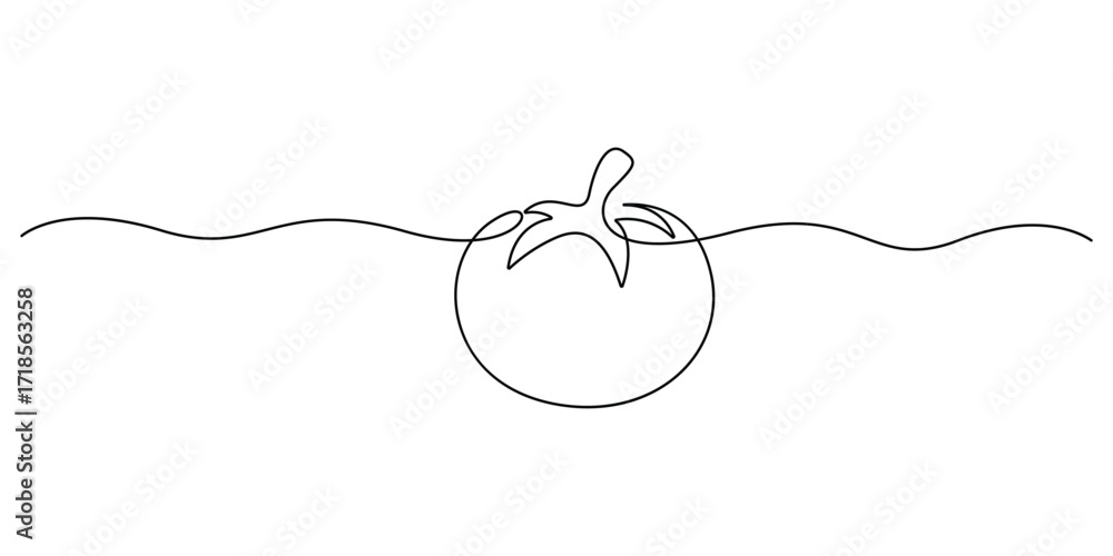 Obraz premium Tomato continuous one line drawing. Minimalist single line drawing of a fresh tomato vector illustration
