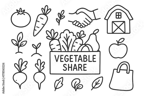 Farm Fresh Doodles. Hand-drawn doodle illustration Vegetable share box box of vegetables, tomato, carrot, lettuce, pumpkin, radish, beet, pear, apple, bag,
