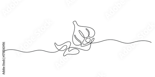 Continuous one line drawing garlic slice illustration, Garlic bulbs in a single line art illustration, Garlic bulb continuous one line drawing, monochrome vegetable artwork. Vector illustration