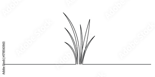 Abstract meadow one line with grass. Continuous single line drawing. Reed one continuous line illustration. Hand drawn doodle vector illustration