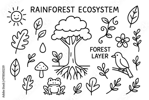 Rainforest Ecosystem Doodles. Hand-drawn doodle illustration Rainforest Ecosystem tree, plant, leaf, flower, vine, mushroom, insect, frog, bird, sun, droplet,