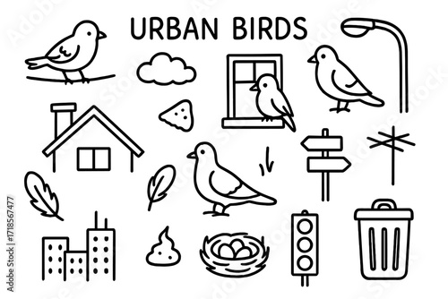 Urban Bird Doodles. Hand-drawn doodle illustration [Urban birds] [sparrow on wire, rooftop, window ledge, streetlight, bread crumb, feather, pigeon, street