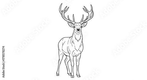 Illustration of a majestic deer standing upright, showcasing its large antlers and detailed line art.