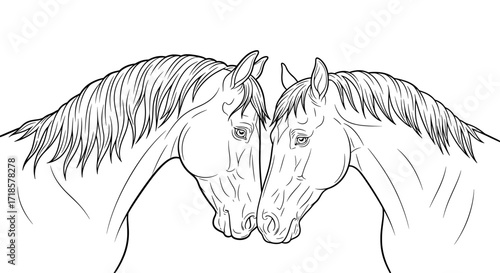 A detailed line drawing of two horses facing each other, their heads close together in a tender, affectionate pose.