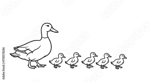 A mother duck leads her ducklings in a simple black and white illustration.