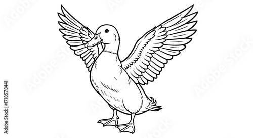 A detailed line drawing of a duck with outstretched wings, ready to take flight.