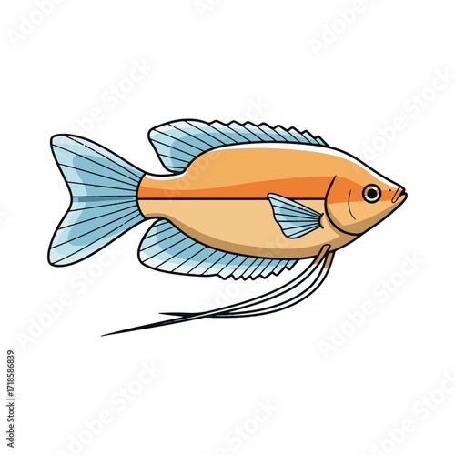 gourami fish illustration design