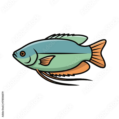 gourami fish illustration design