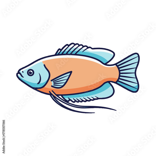 gourami fish illustration design