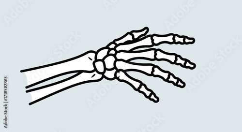 Monochrome anatomical line art illustration of the human hand skeleton, a conceptual design for medical and scientific representation