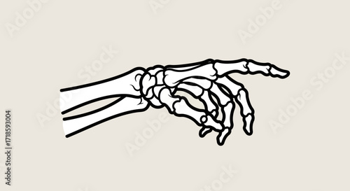 Conceptual Line Art Illustration of a Human Skeletal Hand Pointing, Symbolizing Direction or Biological Structure in an Educational Medical Graphic