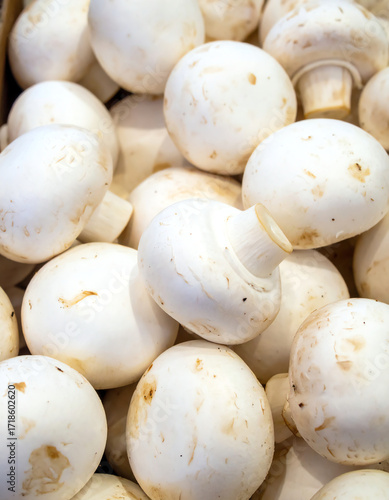 Fresh White Button Mushrooms
