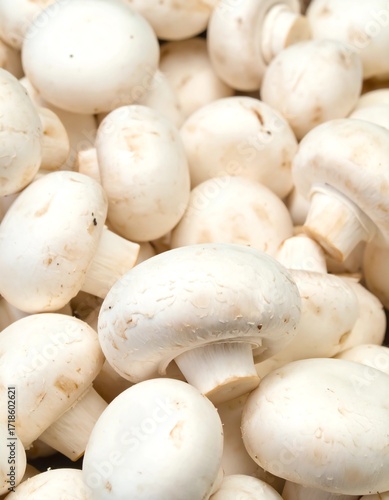Fresh White Button Mushrooms Healthy Vegetable