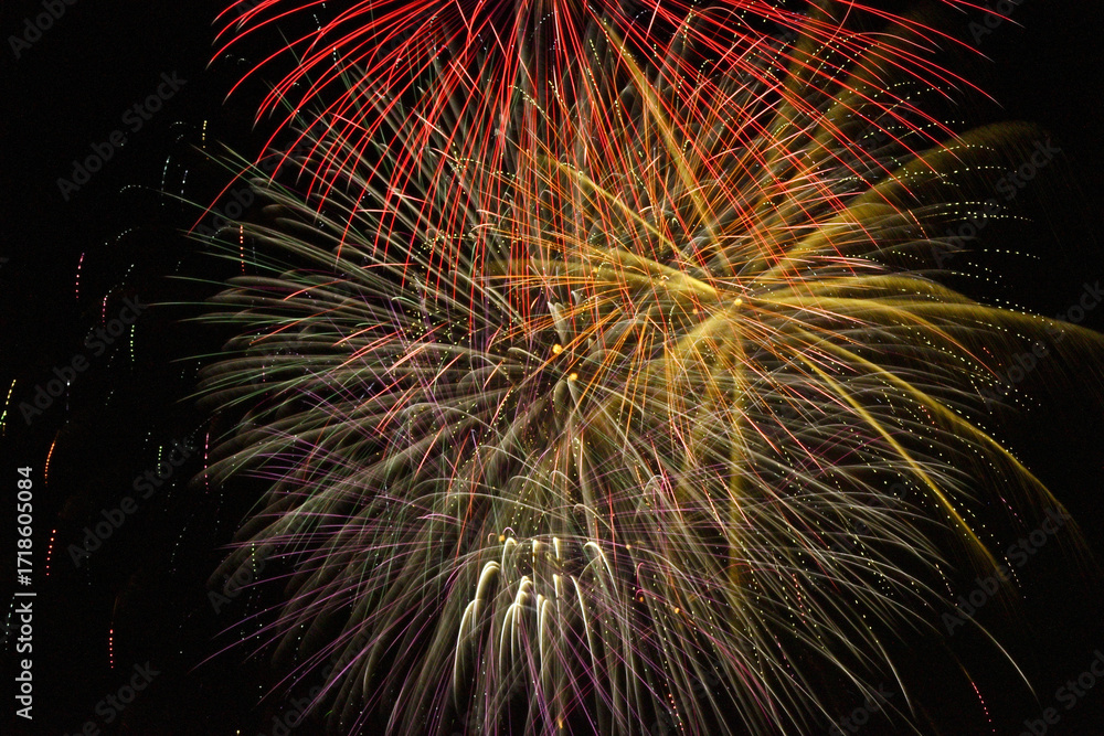 Obraz premium 東海まつり花火大会 花火 Tokai Festival firework