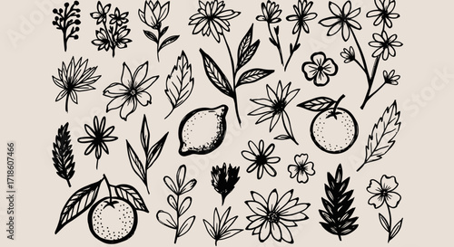 Charming hand-drawn floral and fruit elements bring a whimsical, organic touch to any design project, perfect for creating beautiful patterns.
